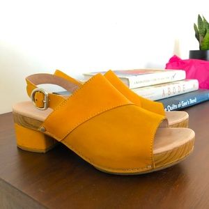 Dansko Madalyn Clogs in Mango